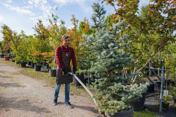 Best Commercial Tree Services  in Hobart, WA